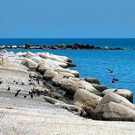 162 Bari